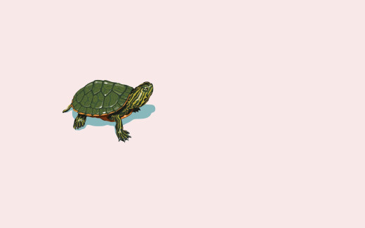 882500 (a): :1920x1200